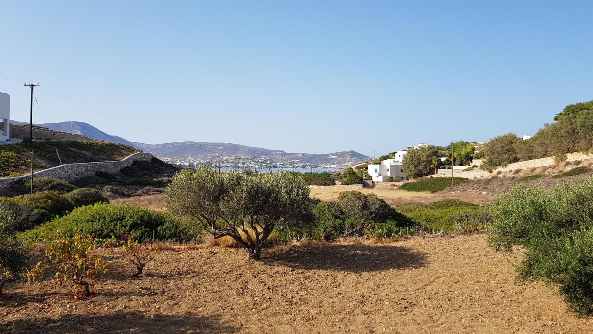 פארוס Marcello Country Houses מראה חיצוני תמונה