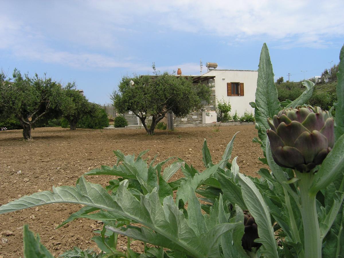 פארוס Marcello Country Houses מראה חיצוני תמונה
